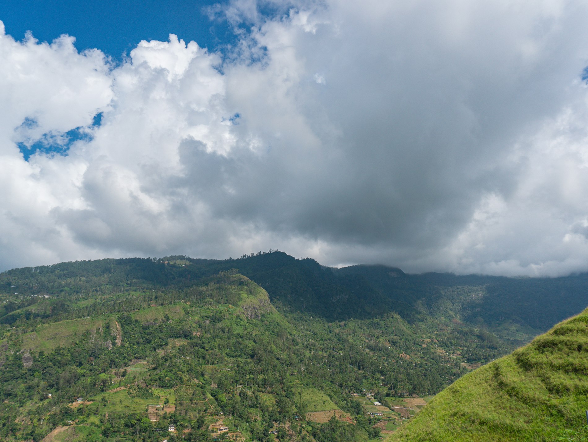 Sri Lankan landscape with water and palm-lined scenery